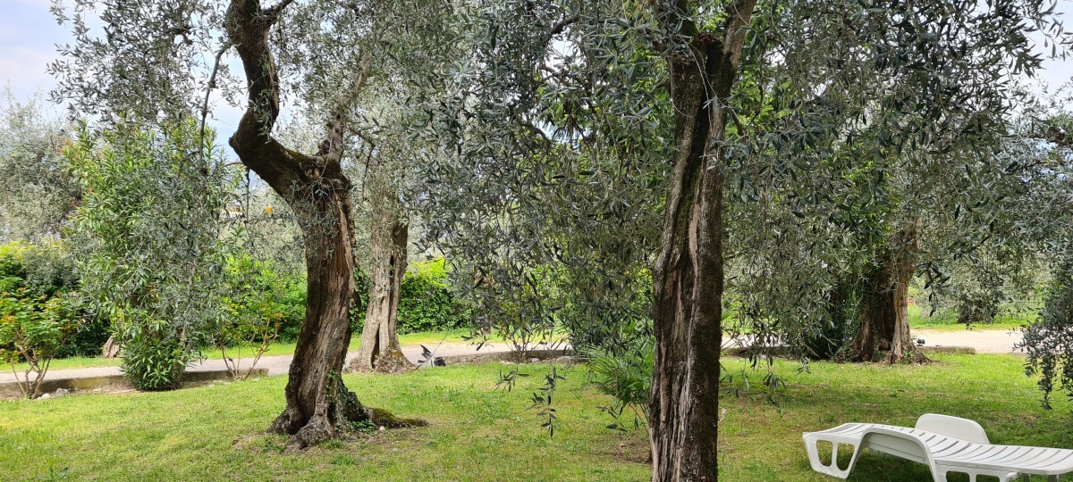 Eine Ruheoase zwischen den Trainings